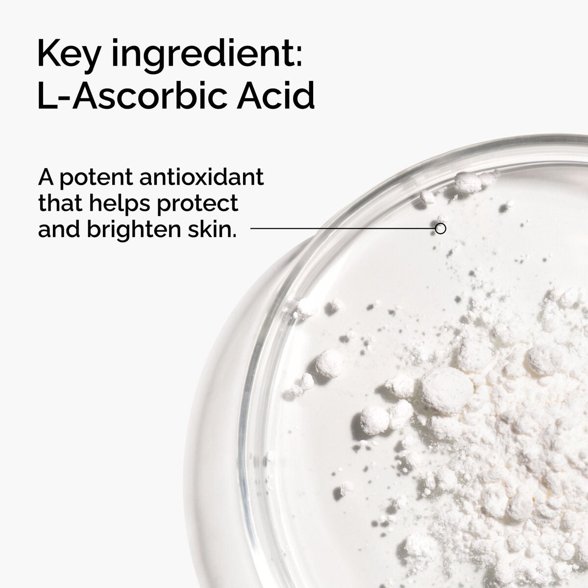 100-l-ascorbic-acid-powder-n0 FY25-D41247-ORD-Web-PDP-100-LAscb-Pwd-1x1-EN-2a.jpg