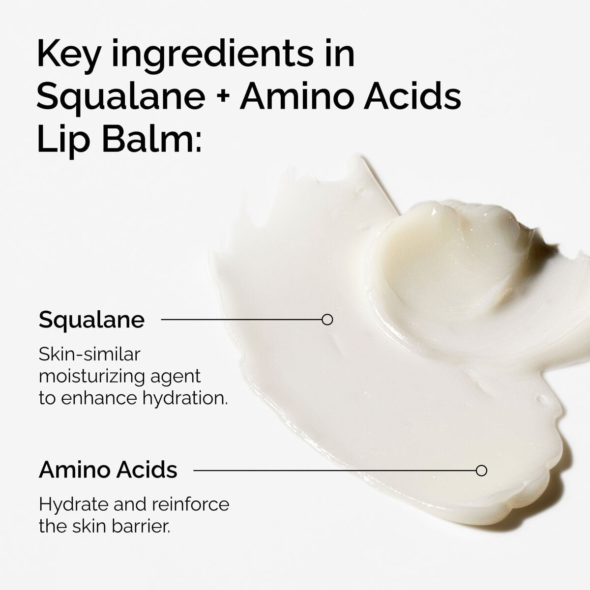 squalane-amino-acids-lip-balm-b7 FY25-D41247-ORD-Web-PDP-Sql-Amino-Lip-1x1-EN-2a.jpg