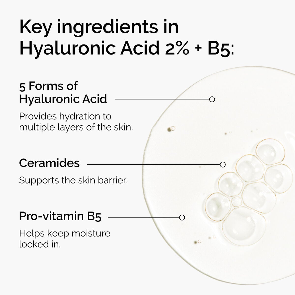 hyaluronic-acid-2-b5-with-ceramides-n7 ord-hyaluronic-acid-2pct-b5-hydrating-serum-ingredients-graphic.jpg
