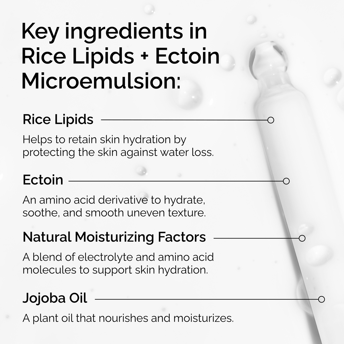 rice-lipids-ectoin-microemulsion-e1 ord-rice-lipids-ectoin-microemulsion-key-ingredients.png