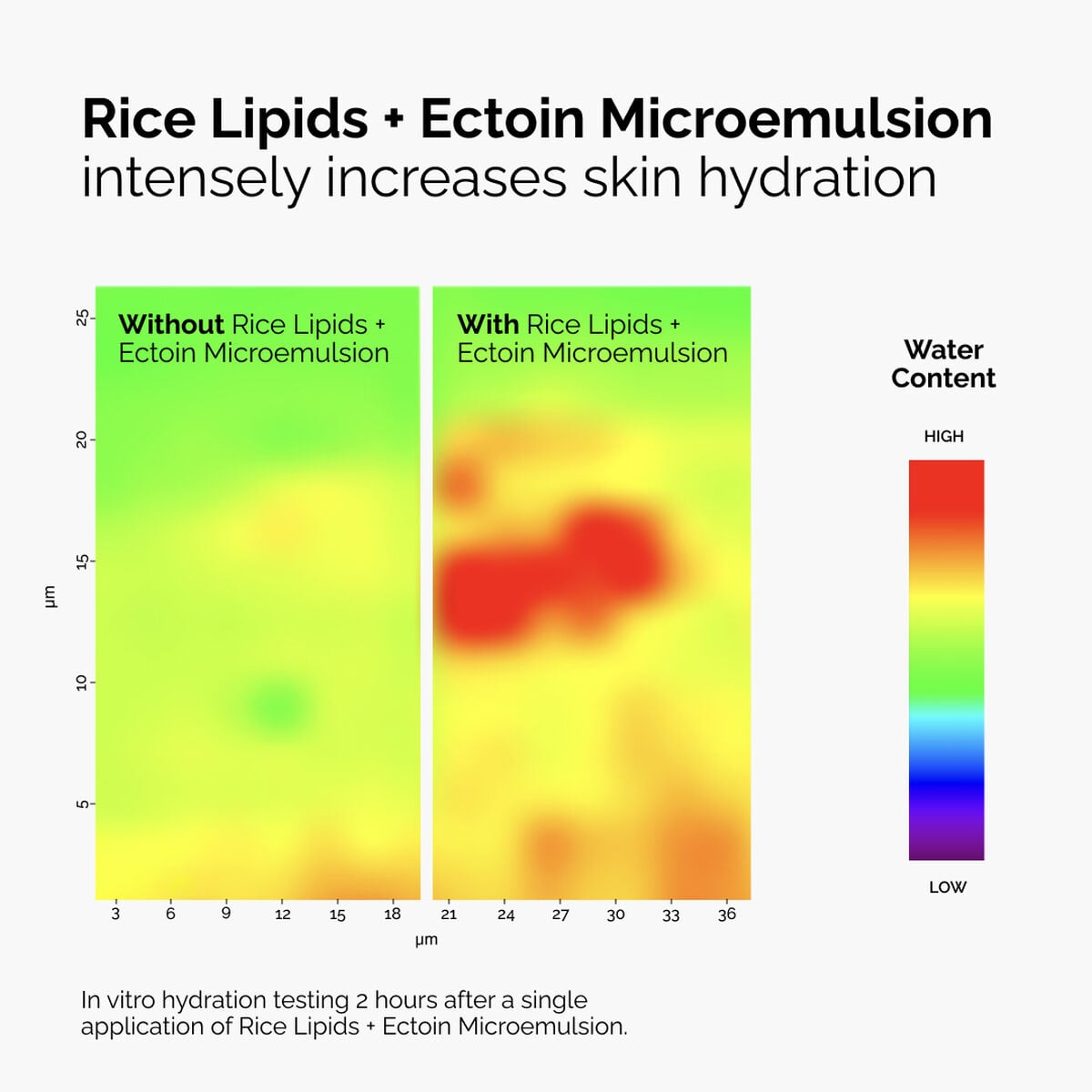 rice-lipids-ectoin-microemulsion-e1 ord-rice-lipids-ectoin-microemulsion-thermal-before-after.jpg